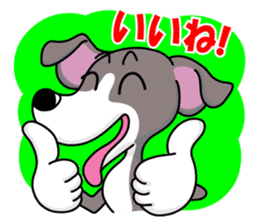 Italian Greyhound named Gina. sticker #2981195