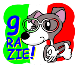 Italian Greyhound named Gina. sticker #2981203