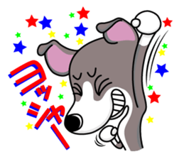 Italian Greyhound named Gina. sticker #2981205