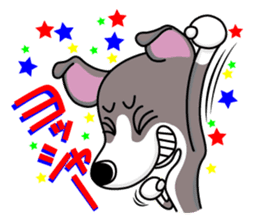 Italian Greyhound named Gina. sticker #2981205