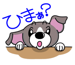 Italian Greyhound named Gina. sticker #2981209