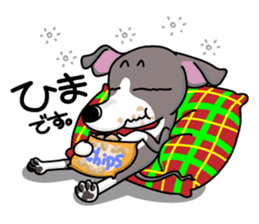 Italian Greyhound named Gina. sticker #2981210