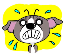 Italian Greyhound named Gina. sticker #2981212