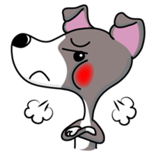 Italian Greyhound named Gina. sticker #2981213