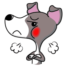 Italian Greyhound named Gina. sticker #2981213