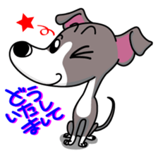 Italian Greyhound named Gina. sticker #2981215