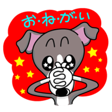 Italian Greyhound named Gina. sticker #2981220