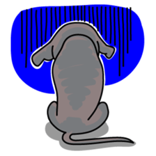 Italian Greyhound named Gina. sticker #2981223