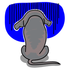 Italian Greyhound named Gina. sticker #2981223