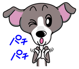 Italian Greyhound named Gina. sticker #2981225