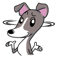Italian Greyhound named Gina. sticker #2981226