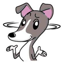 Italian Greyhound named Gina. sticker #2981226