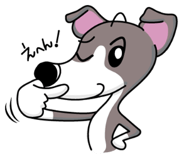 Italian Greyhound named Gina. sticker #2981228