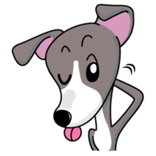Italian Greyhound named Gina. sticker #2981229