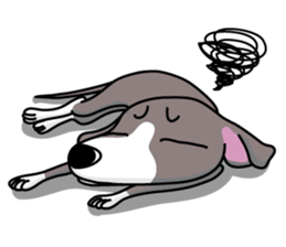 Italian Greyhound named Gina. sticker #2981230