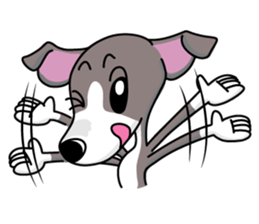 Italian Greyhound named Gina. sticker #2981234