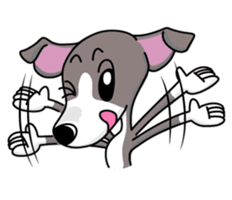 Italian Greyhound named Gina. sticker #2981234