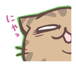 OUZI of a cat, an illusion word sticker #2982023