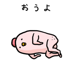 Sleepy Chicken sticker #2986355
