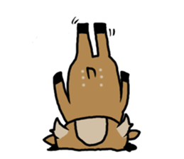 deer is freedom! 2 sticker #2987963