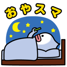 ChekeRaccho5 Sumaho at home sticker #2990867