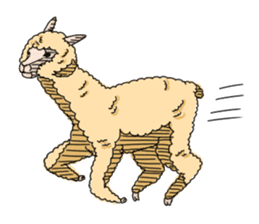 AlpacaDays sticker #2991452