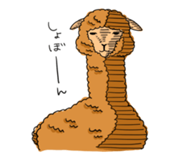 AlpacaDays sticker #2991456