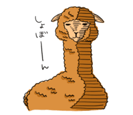 AlpacaDays sticker #2991456