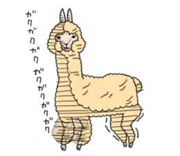 AlpacaDays sticker #2991463