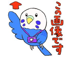 A budgerigar and others sticker #2992163