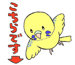A budgerigar and others sticker #2992164