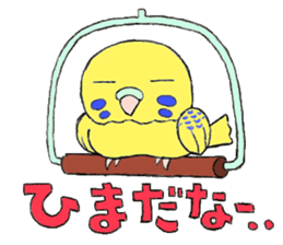 A budgerigar and others sticker #2992171