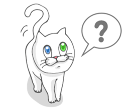 Odd-eyed cat(English) sticker #2992967