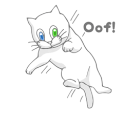 Odd-eyed cat(English) sticker #2992973