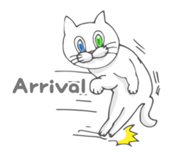 Odd-eyed cat(English) sticker #2992974