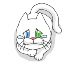 Odd-eyed cat(English) sticker #2992979