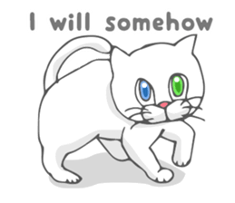 Odd-eyed cat(English) sticker #2992981
