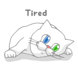 Odd-eyed cat(English) sticker #2992985