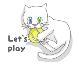 Odd-eyed cat(English) sticker #2992990