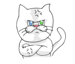 Odd-eyed cat(English) sticker #2992992