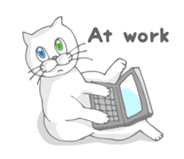 Odd-eyed cat(English) sticker #2992993