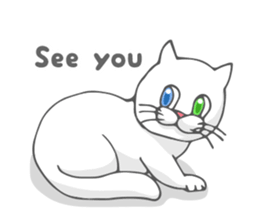 Odd-eyed cat(English) sticker #2992995
