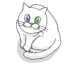 Odd-eyed cat(English) sticker #2992996