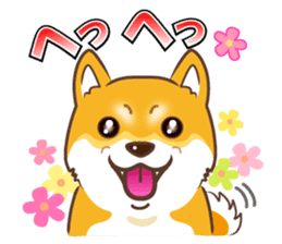 Only for a shiba-inu. sticker #2994483