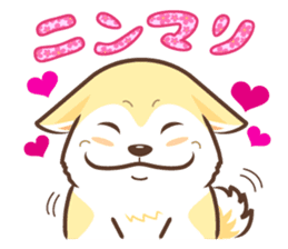 Only for a shiba-inu. sticker #2994484