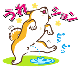 Only for a shiba-inu. sticker #2994485