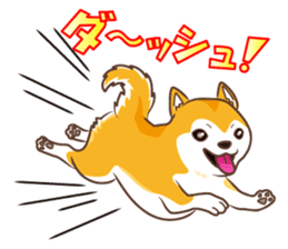 Only for a shiba-inu. sticker #2994487