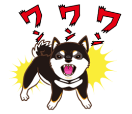 Only for a shiba-inu. sticker #2994488