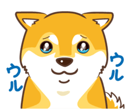 Only for a shiba-inu. sticker #2994493