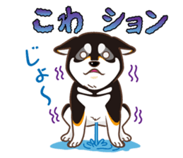 Only for a shiba-inu. sticker #2994498